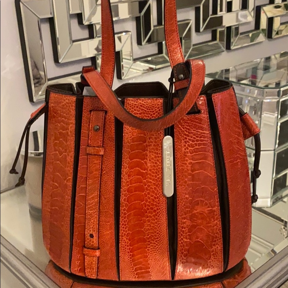 Ostrich Leather Handbag- Via Veneta